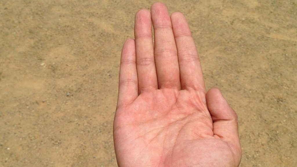 Palmistry: जिस तरह से व्यक्ति की हथेली में कई आड़ी-तिरछी रेखाएं होती हैं और कई तरह...