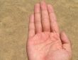 Palmistry: जिस तरह से व्यक्ति की हथेली में कई आड़ी-तिरछी रेखाएं होती हैं और कई तरह...
