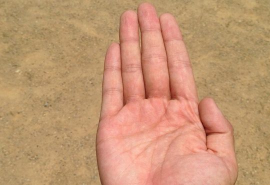 Palmistry: जिस तरह से व्यक्ति की हथेली में कई आड़ी-तिरछी रेखाएं होती हैं और कई तरह...