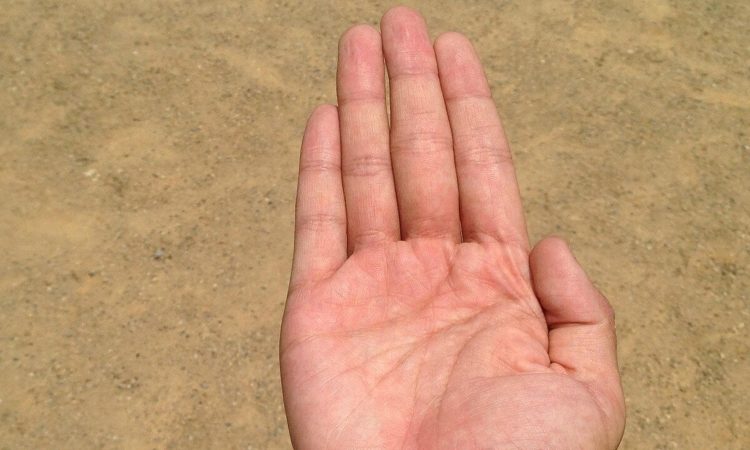Palmistry: जिस तरह से व्यक्ति की हथेली में कई आड़ी-तिरछी रेखाएं होती हैं और कई तरह...