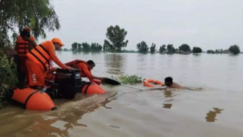 બધા છોકરાઓ નીલગિરીના ઝાડને વળગી રહ્યા હતા. પાકિસ્તાનની આ વૃક્ષ સરહદ … सभी लड़के यूकेलिप्टस के पेड़ से चिपके हुए थे. ये पेड़ पाकिस्तान के बॉर्डर...