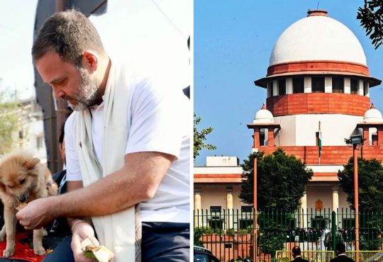 सुप्रीम कोर्ट ने आठ हफ्तों में दिल्ली-एनसीआर से सभी आवारा कुत्तों को हटाकर...