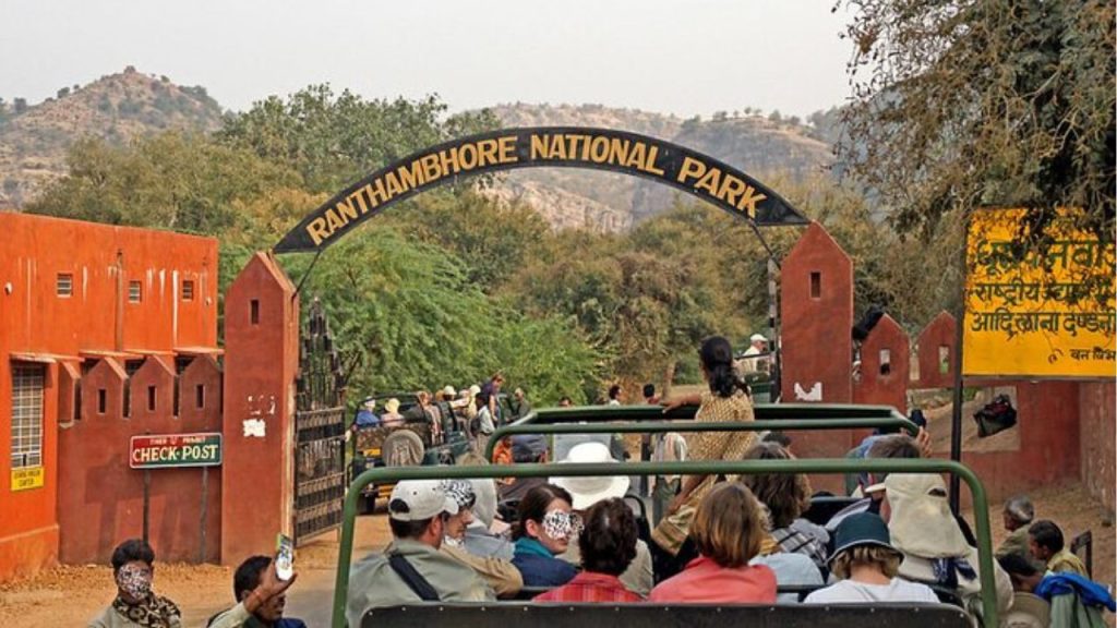 ये घटना रणथंभौर जैसे विश्व प्रसिद्ध टाइगर रिजर्व में पर्यटक सुरक्षा को...