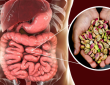 salmonella infection outbreak ore than 50 people suffer from salmonella after eating pistachios keep eyes 5 gut related symptoms