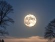 Sawan Purnima 2025: सावन पूर्णिमा पर इस साल खास संयोग बन रहे हैं। इस साल की सावन...