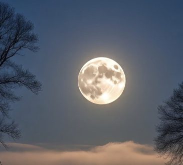 Sawan Purnima 2025: सावन पूर्णिमा पर इस साल खास संयोग बन रहे हैं। इस साल की सावन...