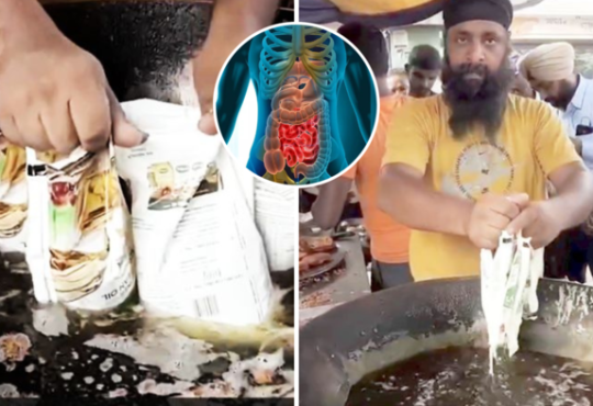 the punjab food safety department has taken swift action against the ludhiana vlog stunt vendor