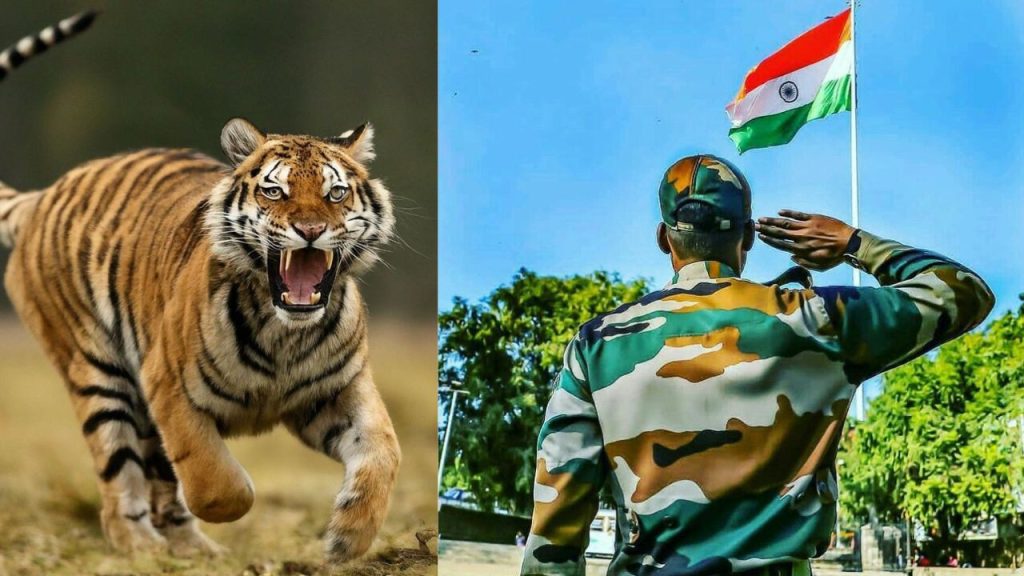 लकड़ी की तस्करी, अवैध खनन और अतिक्रमण जैसी गैरकानूनी गतिविधियों पर भी यह...