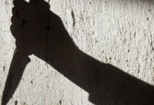 दिल्ली के करावल नगर इलाके में प्रदीप नाम के एक व्यक्ति ने अपनी पत्नी और...
