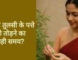 Tulshi Niyam: हिंदू धर्म में तुलसी के पौधे को सबसे पवित्र माना गया है। इसे लेकर कई...