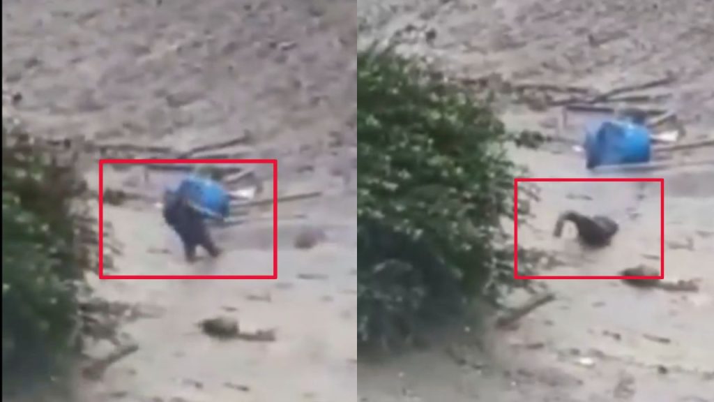 આ દુર્ઘટનાના ઘણા હ્રદયસ્પર્શી વિડિઓઝ સોશિયલ મીડિયા પર વાયરલ થઈ રહી છે …. इस त्रासदी के कई दिल दहला देने वाले वीडियो सोशल मीडिया पर वायरल हो रहे हैं....