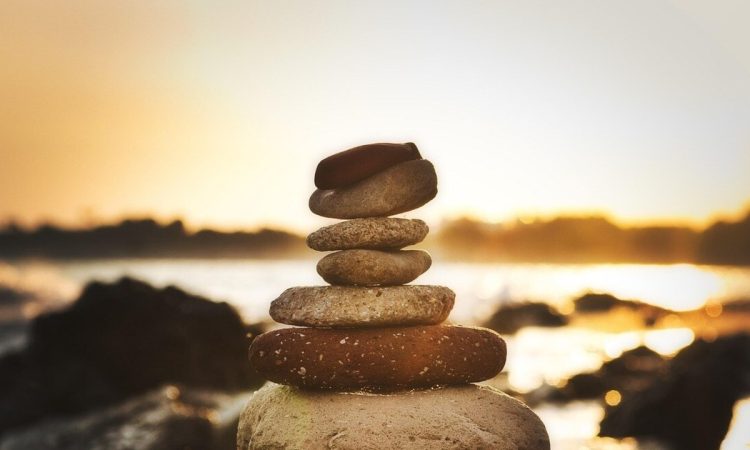 Vastu Tips: वास्तु के अनुसार जीवन में स्थिरता पाने के लिए प्रतिदिन क्या करना...