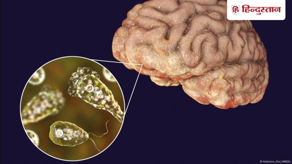 ब्रेन ईटिंग अमीबा, जिसे नेग्लीरिया फाउलराए कहा जाता है, से केरल में 65 से...