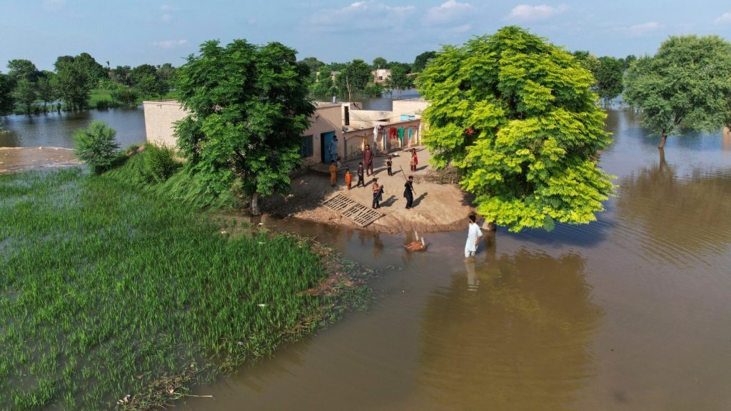 નિષ્ણાતોએ ભારતના પાણીને ઇરાદાપૂર્વક મુક્ત કરવાના આક્ષેપોને નકારી કા … ્યા … विशेषज्ञों ने भारत पर जानबूझकर पानी छोड़ने के आरोपों को पूरी तरह गलत बताया...