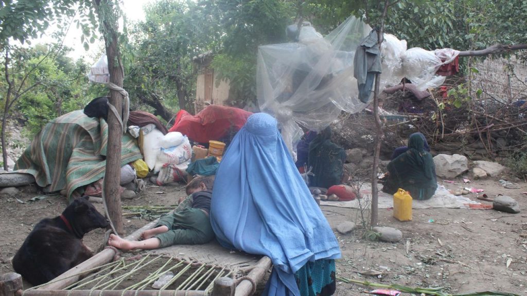 અફઘાનિસ્તાનમાં તાજેતરના ગંભીર ભૂકંપ પછી કાટમાળમાં ફસાયેલી મહિલાઓની પરિસ્થિતિ … अफगानिस्तान में हालिया भीषण भूकंप के बाद मलबे में फंसी महिलाओं की स्थिति...