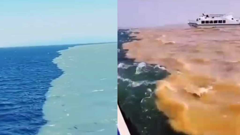 viral post: अलास्का की खाड़ी के पास एक जगह पर ऐसी ही एक दुर्लभ प्राकृतिक घटना...