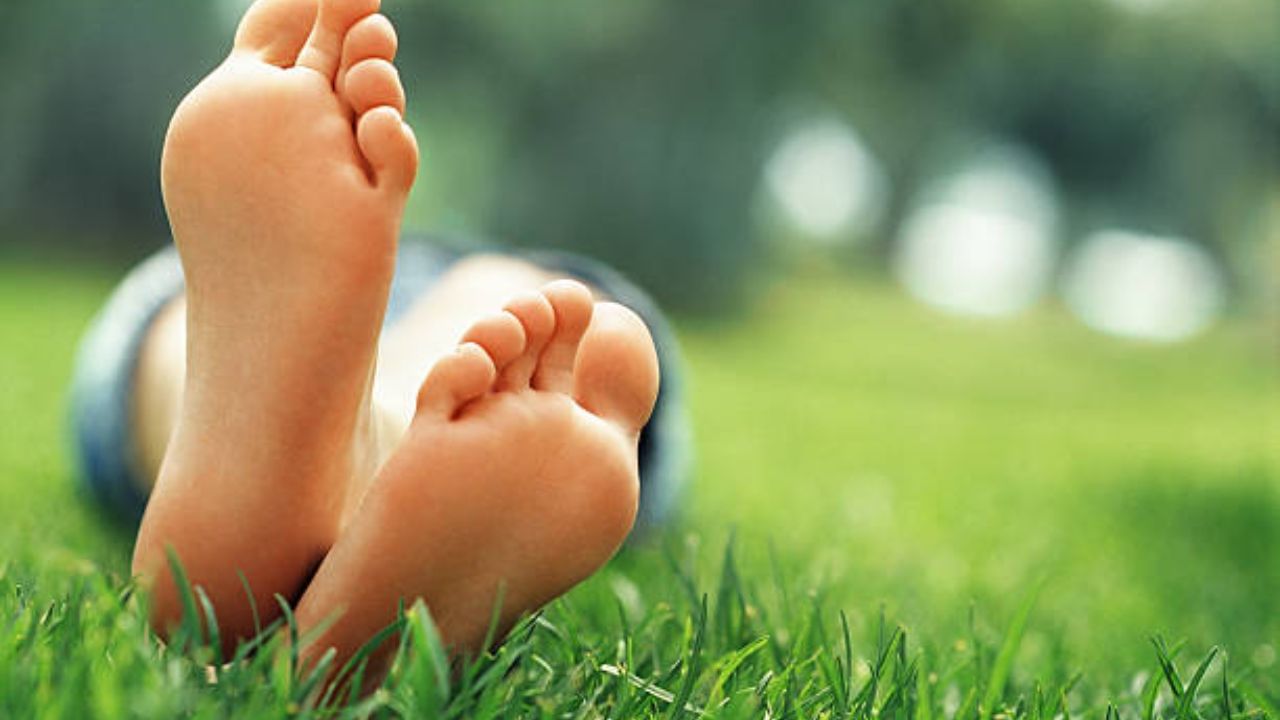 પગના શૂઝ પર શુભ ચિહ્ન: સમુદ્રા શાસ્ત્રમાં, તેમના પર પોત, રંગ, છછુંદર અને વિશેષ ડાઘ વ્યક્તિનું વ્યક્તિત્વ સૂચવે છે. જાણો કે પગના શૂઝ પર કયા ગુણ ખૂબ શુભ માનવામાં આવે છે અને રાજા યોગ પ્રદાન કરે છે.