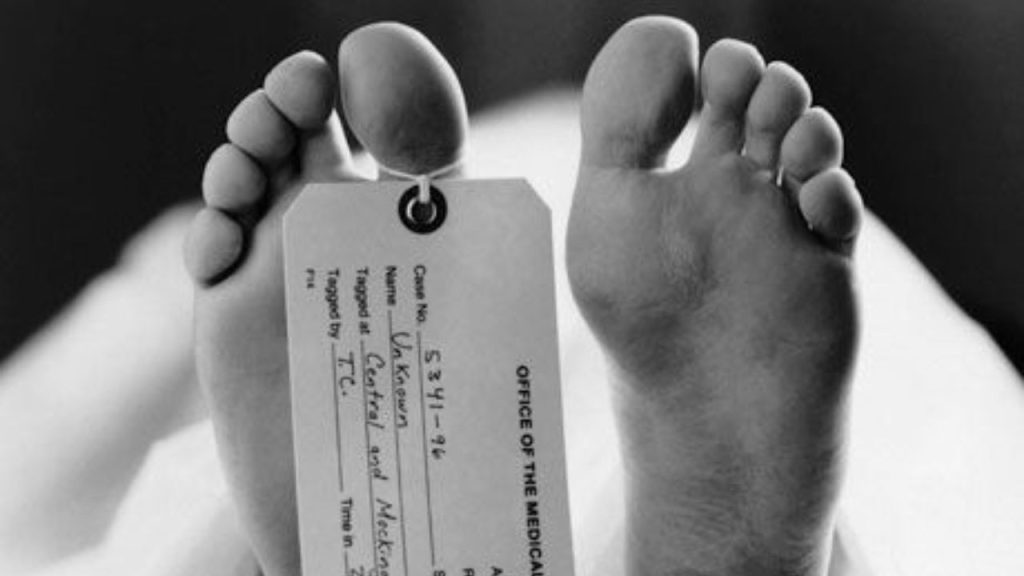 Thar Hit Property Dealer: : उत्तर प्रदेश के फरीदाबाद में एसयूवी थार ने प्रॉपर्टी डीलर को...