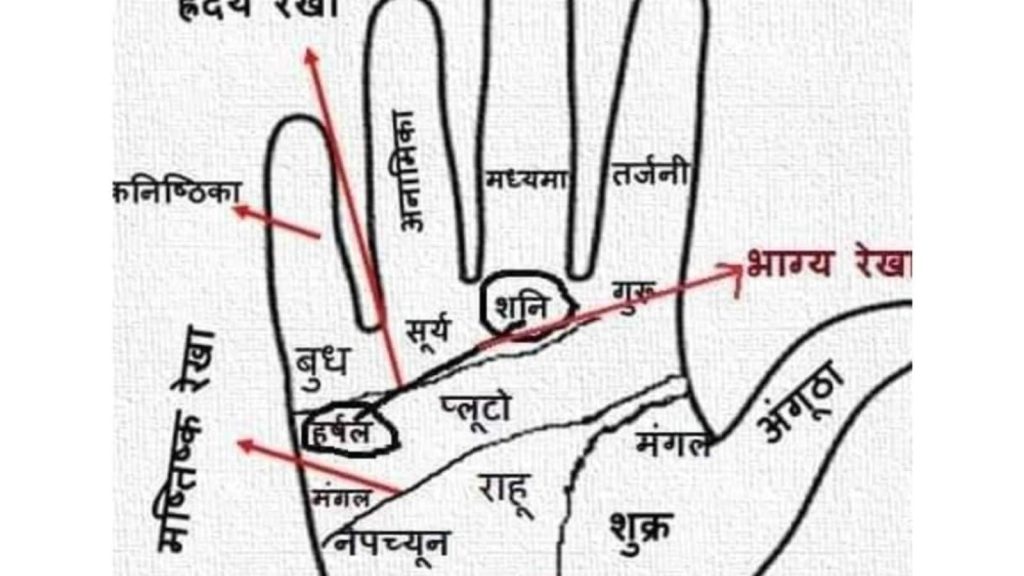 Hatheli mein budh yog: हथेली में जिस तरह से रेखाएं मिलकर शुभ योग बनाती हैं, उसी तरह से...