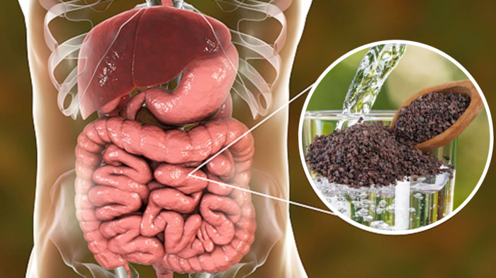 કોલોનને કેવી રીતે સાફ કરવું: આંતરડામાં સડતો જૂનો સ્ટૂલ 1 અઠવાડિયામાં બહાર આવશે, નોંધ વૈદ્ય … home remedy for colon cleansing