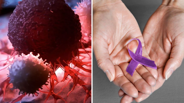 ડોકટરો ચેતવણી- કેન્સરને કારણે 70% મૃત્યુ, 1 ભૂલ જવાબદાર, 6 … in healthcare horizon doctors told 70 percent of cancer deaths are due to late detection