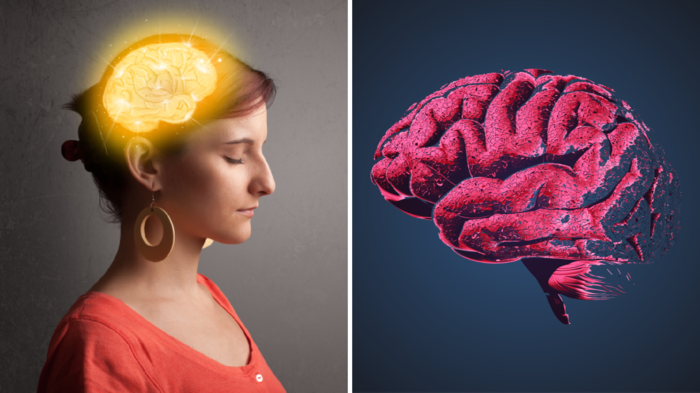 તમે આ બાબત ભૂલી જાઓ છો? મતલબ કે કચરો મનમાં અટવાયો છે, ડ doctor ક્ટરે કહ્યું … memory increasing food