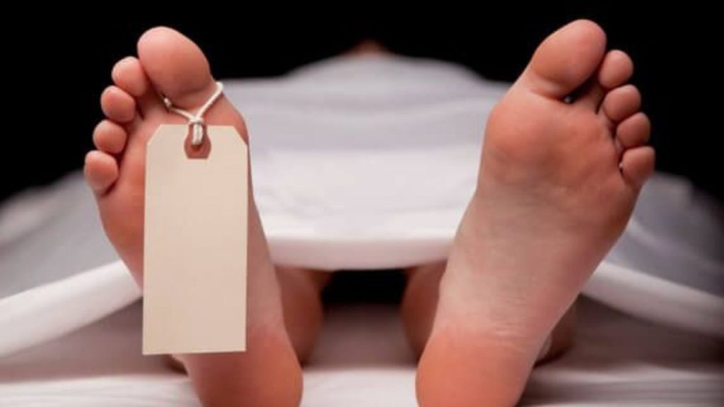 રાજસ્થાન સમાચાર: નાગૌરમાં સનસનાટીભર્યા ઘટના, રાજસ્થાન! પત્ની પર ગેરકાયદેસર સંબંધની શંકા … Rajasthan News: राजस्थान के नागौर में सनसनीखेज वारदात! पत्नी पर अवैध संबंध का शक...