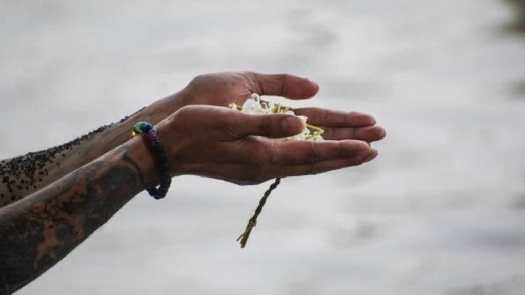 Pitra dosh ke upay: इस समय पितृ पक्ष चल रहे हैं। गरुड़ पुराण के अनुसार, पितृ दोष से...