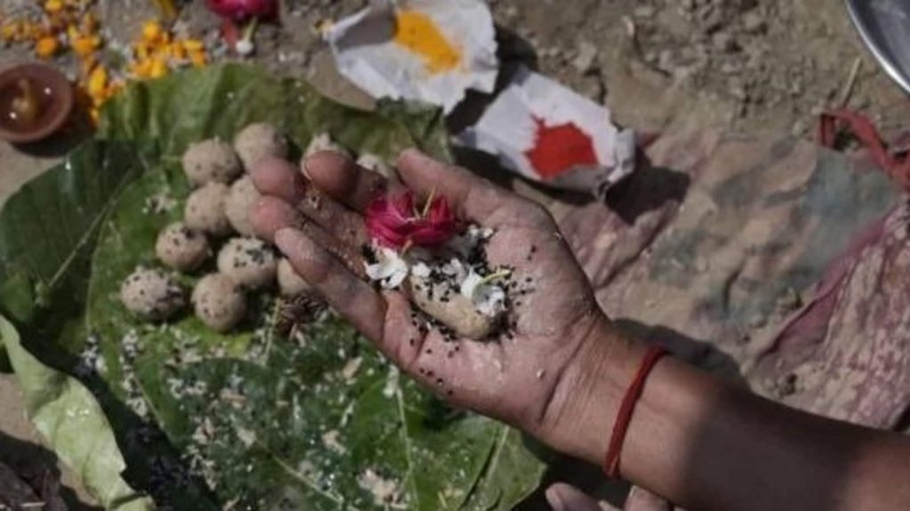 Pitru paksha 2025 date tithi: पितृ पक्ष में श्राद्ध कर्म करना अत्यंत शुभ माना गया है।...