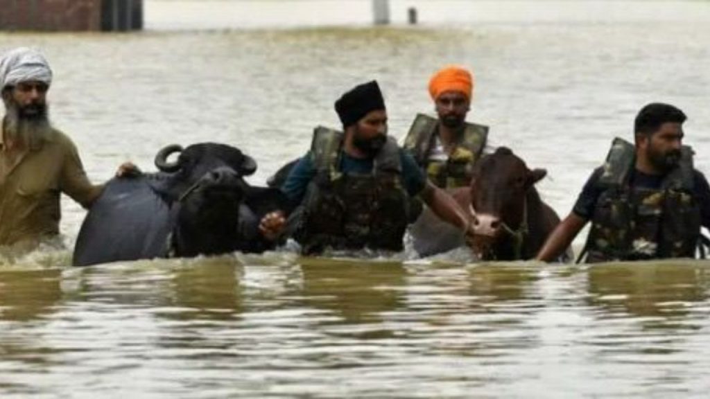 Punjab Government: पंजाब, जो हमेशा अपने किसानों और पशुधन के लिए एक मिसाल रहा है, इस बार...