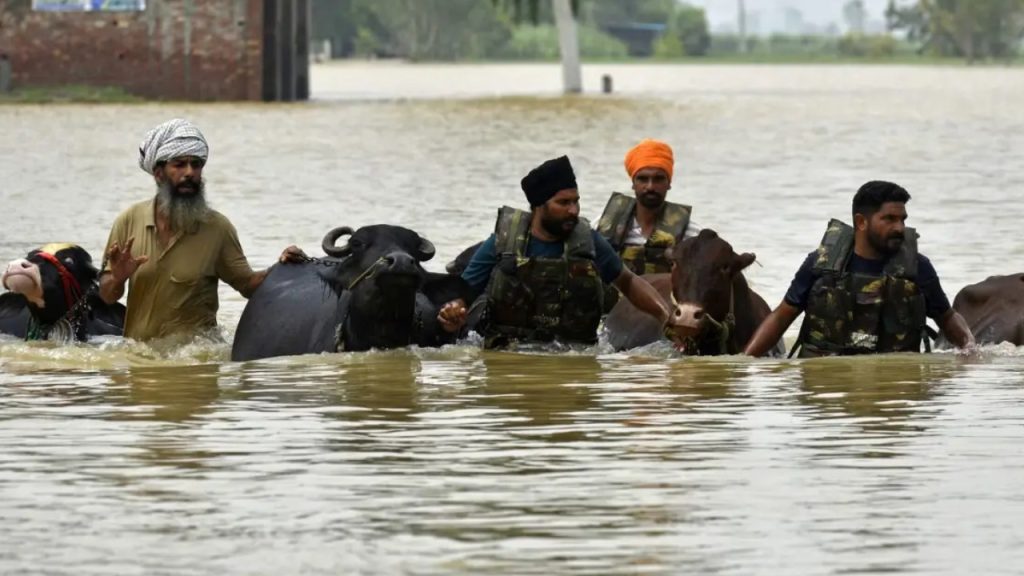 मुख्यमंत्री भगवंत मान के नेतृत्व में सरकार मिशन मोड में काम कर रही है, ताकि...