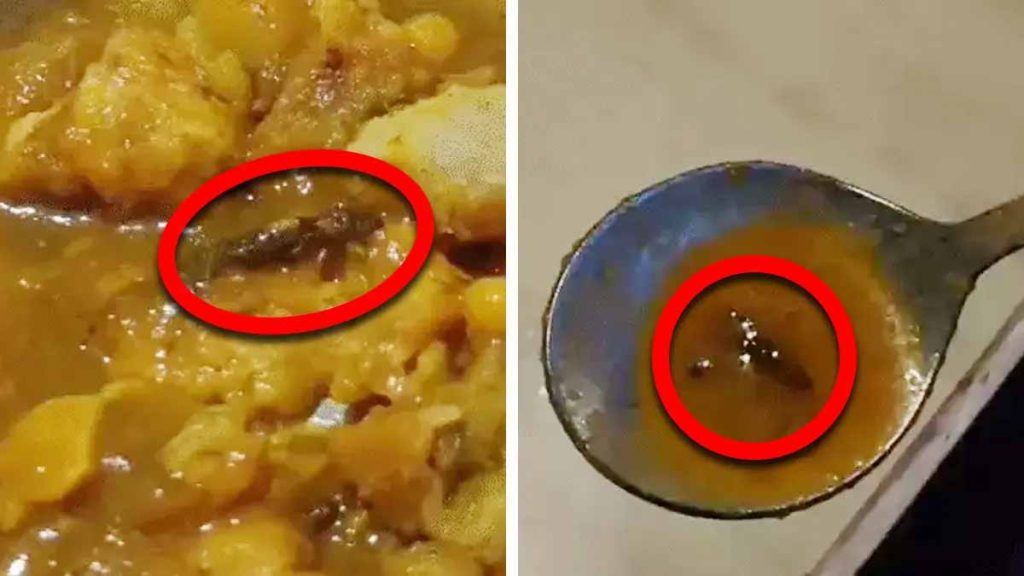 સમોસા – ચોળાફળીના શોખીનો માટે ચોંકાવનારો કિસ્સો