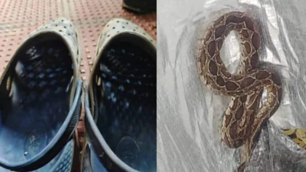 बेंगलुरु में एक इंजीनियर की दर्दनाक मौत हो गई है। जानकारी के मुताबिक उसकी...