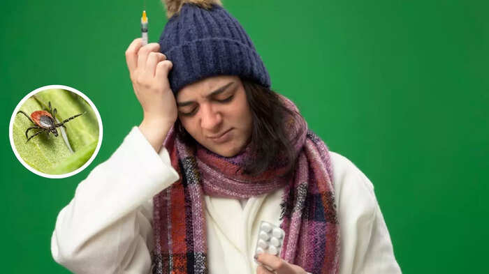 તાવ, માથાનો દુખાવો, શરીરમાં દુખાવો, અમેરિકામાં વધતા કેસો સાથે ટાઇફસનું વળતર, નોંધો … Typhus In USA