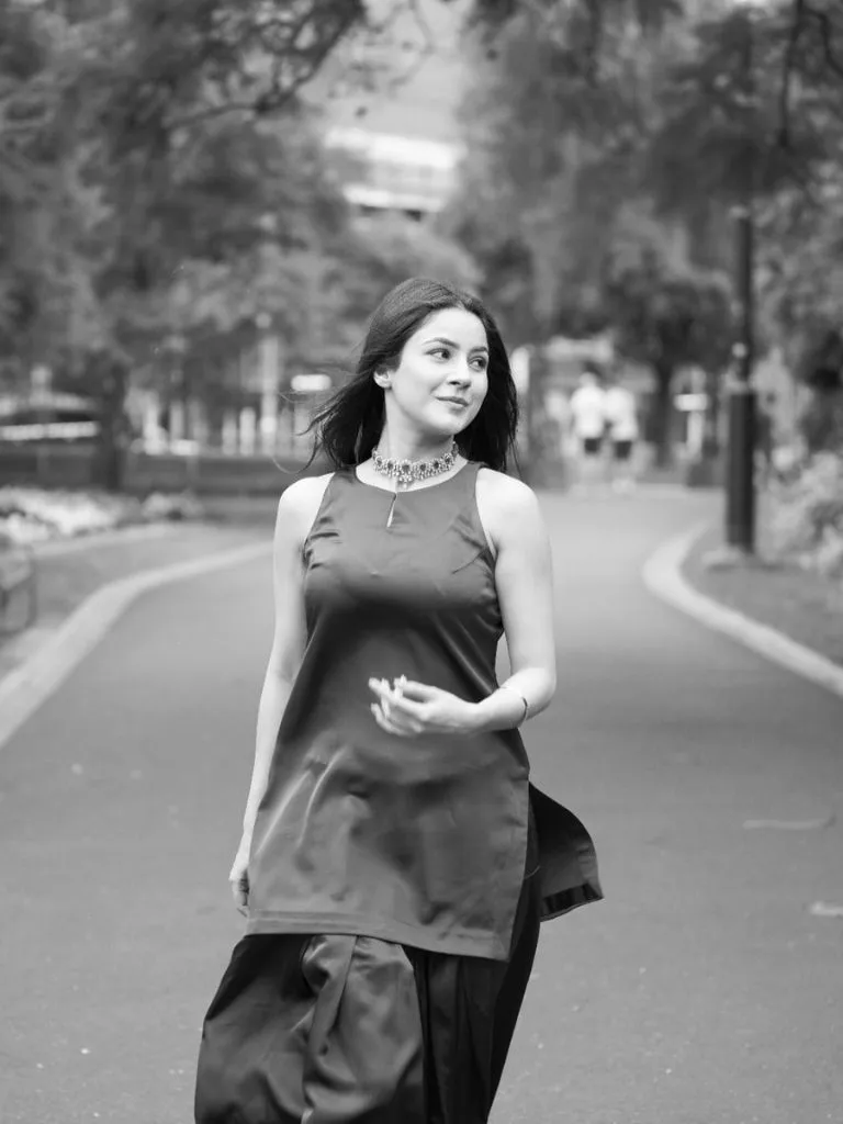 લોકો મને 'મોતી માજ' કહેતા હતા... બિગ બોસ પછી શહેનાઝે કેવી રીતે વજન ઘટાડ્યું?