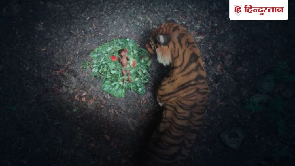 Box Office Report: साल 2025 की सबसे ज्यादा कमाई करने वाली फिल्म बनी ये, 20 दिन में कमाए 800...