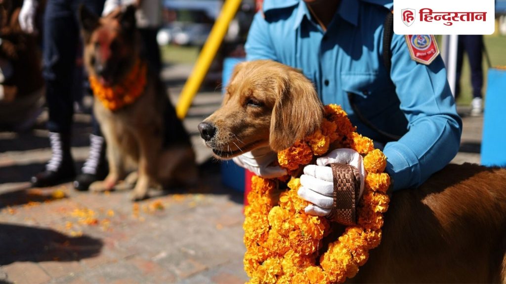 दिवाली पर कुत्तों की पूजा, फूलों की माला और ढेर सारा भोग; नेपाल में मनाया गया कुकुर...