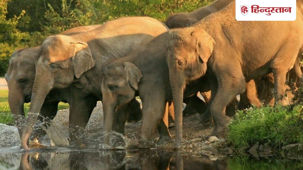 पश्चिम बंगाल के कई जिलों का बारिश और बाढ़ से बुरा हाल है। अलीपुरद्वार में...