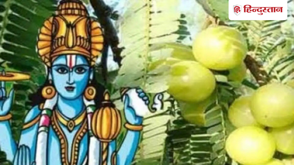 અમલા નવમી: આમળા નવમી ક્યારે છે? જાણો આમળાના ઝાડની પૂજા અને દાન કરવાથી શું ફળ મળે છે… Amla navami: आंवला नवमी कब है? जानें आंवला के पेड़ की पूजा व दान करने से क्या फल मिलता...