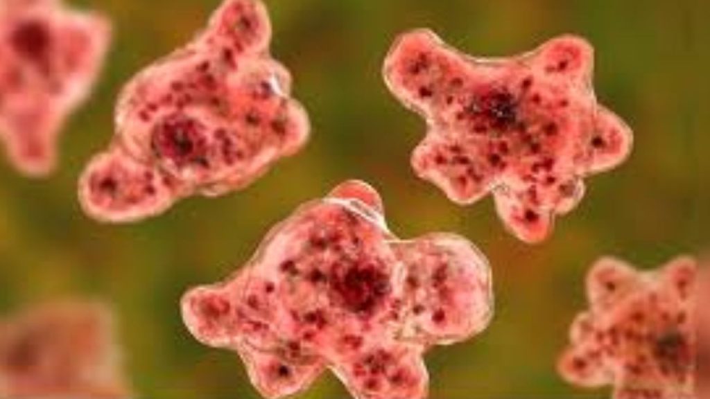 केरल में 'ब्रेन ईटिंग अमीबा' यानी अमीबिक एन्सेफलाइटिस (ब्रेन फीवर) के...