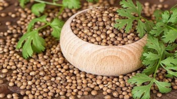 પોસ્ટ્સ