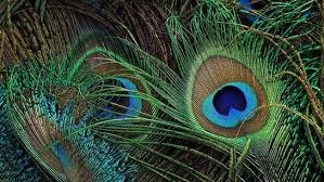 પોસ્ટ્સ