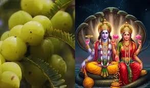 પોસ્ટ્સ