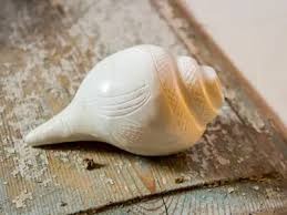 પોસ્ટ્સ