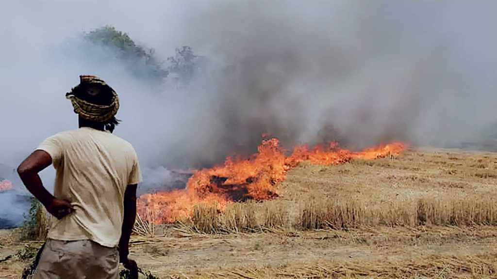 दिल्ली के प्रदूषण के लिए पटाखे नहीं पराली जिम्मेदार, भाजपा ने पंजाब सरकार को दोषी बताया