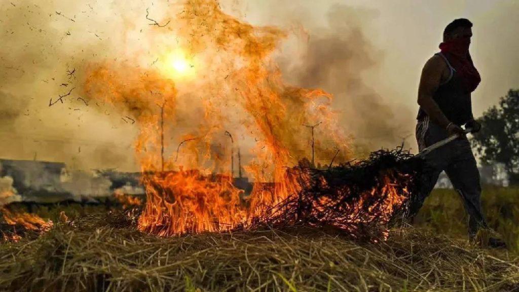 Punjab Stubble Burning: पीपीसीबी डेटा से पता चलता है कि तरन तारन में सबसे अधिक 113 घटनाएं...