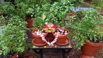 પોસ્ટ્સ