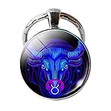 DZT1968 12 નક્ષત્ર રાશિ સાઇન કાર કી રીંગ હેન્ડબેગ ટોટ અને પેન્ડન્ટ કીચેન માટે ડબલ ફેસ કીરીંગ