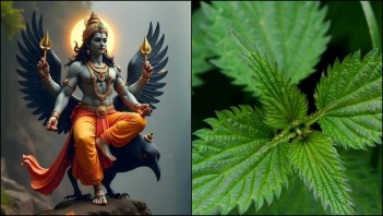 પોસ્ટ્સ