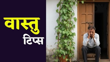 પોસ્ટ્સ